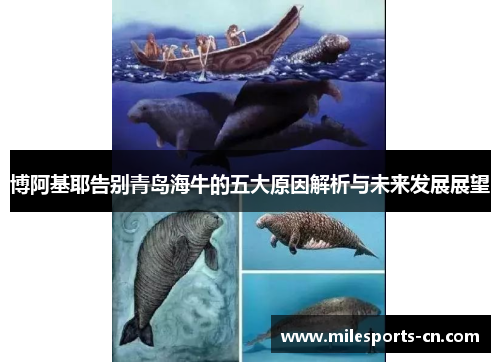博阿基耶告别青岛海牛的五大原因解析与未来发展展望