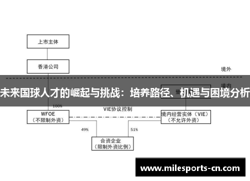 未来国球人才的崛起与挑战：培养路径、机遇与困境分析