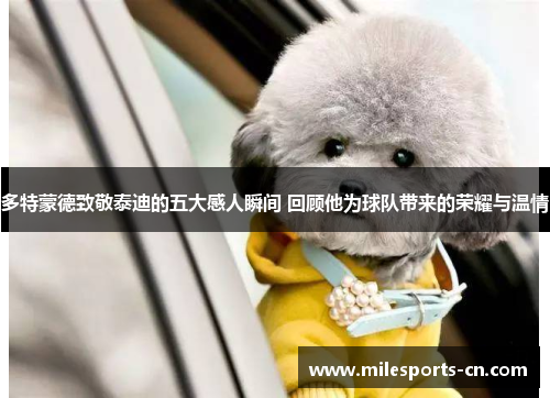 多特蒙德致敬泰迪的五大感人瞬间 回顾他为球队带来的荣耀与温情