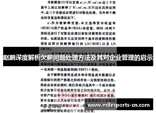 赵鹏深度解析欠薪问题处理方法及其对企业管理的启示