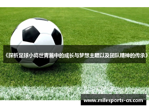 《探析足球小将世青篇中的成长与梦想主题以及团队精神的传承》